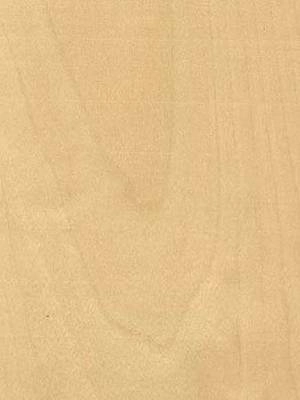 Listwa przypodłogowa fornirowana lakierowana LP60 (240 cm x 5 cm x 2,8 cm) brzoza